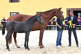 Cornetta Ruf